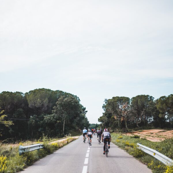 panorama tour