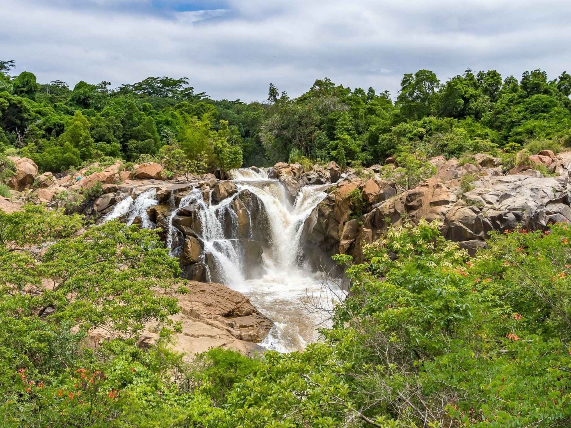 Mpumalanga Spring Blooms at the Lowveld Botanical Gardens
